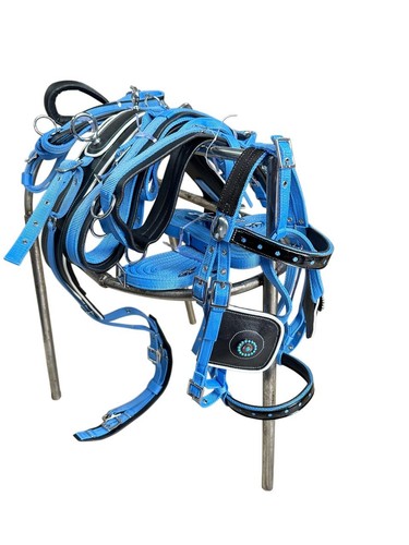 Single horse skyblue black - single,