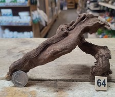 Small Ancient River Wood Individual Pieces Nano Aquacaper  Fish tank Bogwood