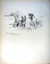 Old Vintage Print C1933 Dogs