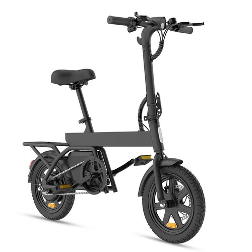 Electric bike for adults - electric, adults,