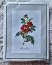 Thea Gouverneur Counted Cross