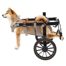 Adjustable Pet Rehabilitation