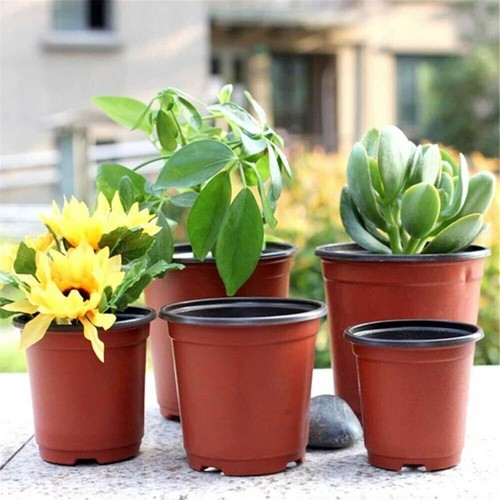 Plastic plant flower pots - flower,