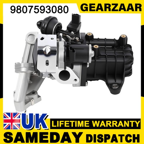 Egr valve cooler - cooler, module