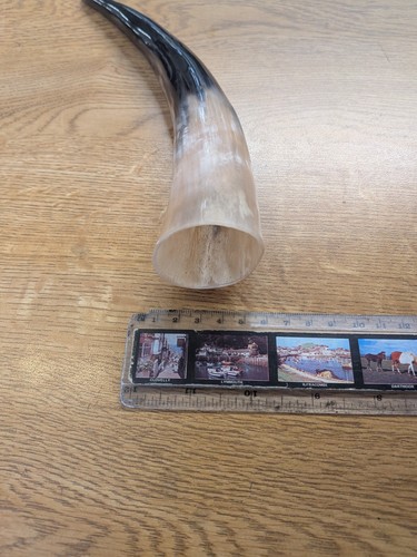 Polished cow horn - polished,