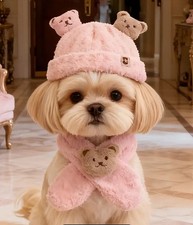 Small / Medium sized Yorkie /