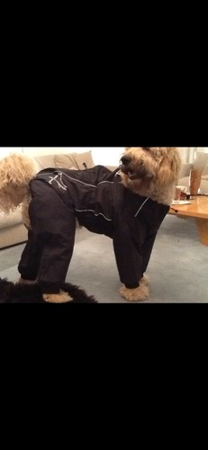Hurtta dog overall - dog,