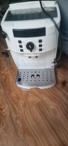 Longhi magnifica s - magnifica,