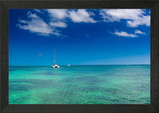 Catamaran cruise to island