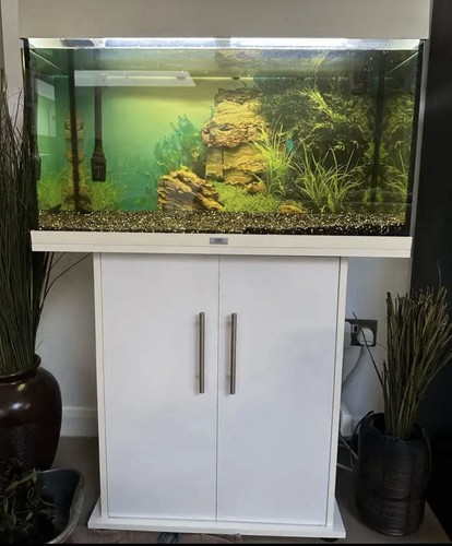 Fluval 125l aquarium tank with - 125l,