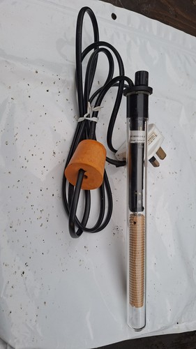 Thermostatic wine heater - thermostatic,
