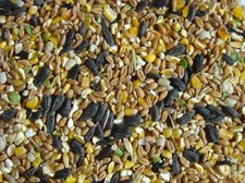 Wild Bird Food Mix - Standard High Energy Feed 100g 500g 1kg 2kg 5kg 10kg 20kg