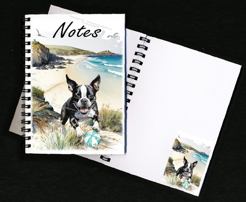 Boston terrier dog - terrier,