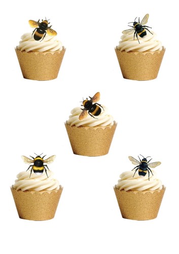 Stand honey bee - honey, insect
