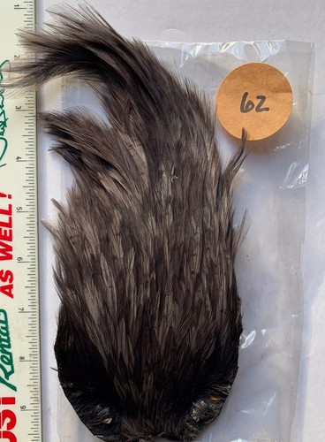 Fly tying cock cape - , top