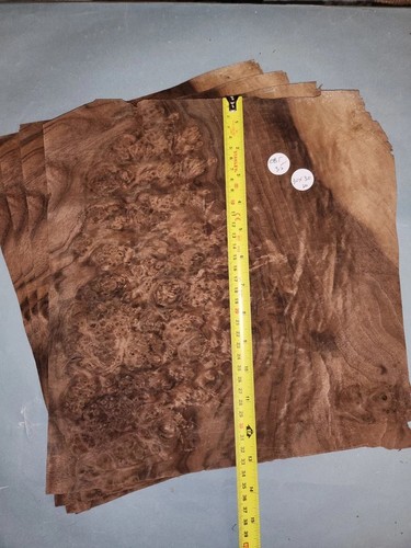 American walnut burr veneer - american,
