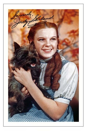 Judy garland signed - signed, autograph
