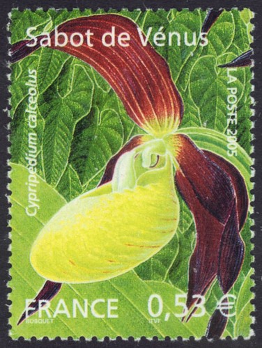 France 3102 lady - 3102, lady's