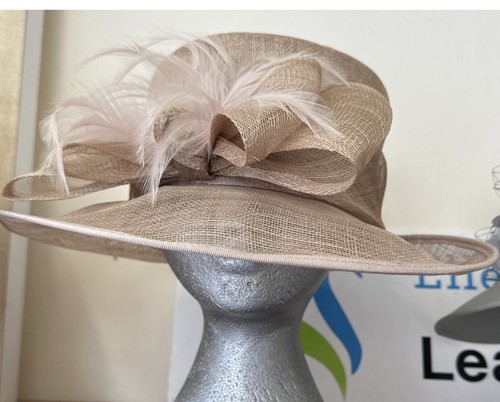 Elegant debut debenhams - debut,