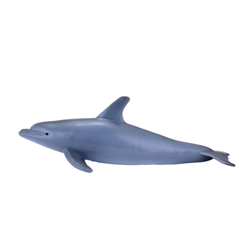 Bottlenose dolphin plastic - bottlenose,