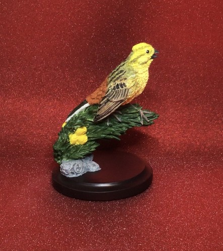 Country bird collection andy - bird,