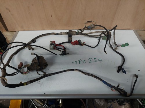 Honda trx 250 fourtrax wiring - trx,