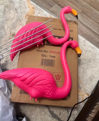 Flamingo garden party - flamingo,