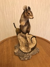 Border Fine Arts - Mouse On a