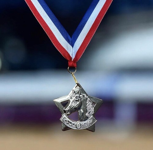Equestrian medals ribbons - equestrian,