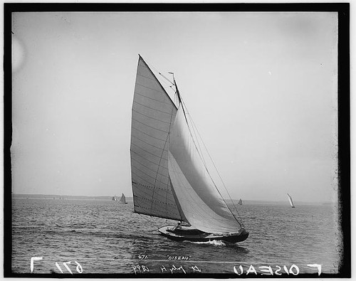 Oiseau boat yachting sailing - oiseau,