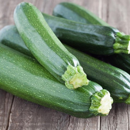 Courgette ambassador - courgette, ‘ambassador
