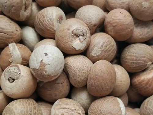100 organic new fresh - new,