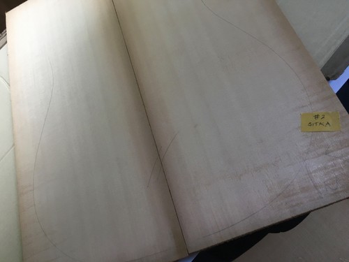 Sitka steel string - sitka,