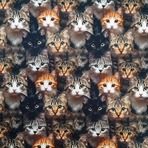 Polycotton fabric oh sew - polycotton,