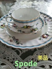 Spode Trapnell Sprays Cup Saucer Plate 23cm Trio Set
