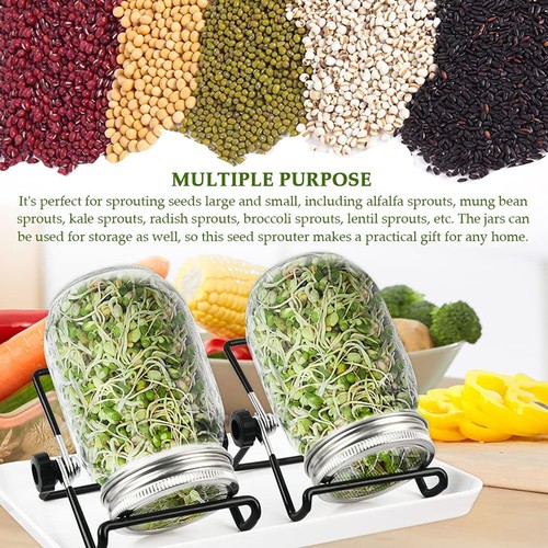 32oz sprouting jar lid kit - jar,