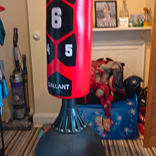 Gallant freestanding punch - punch, bag