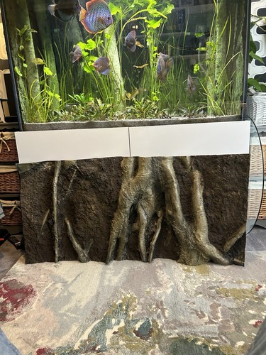Fish tank aquarium - fish, 3d