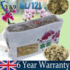 Dried Sphagnum Moss Potted