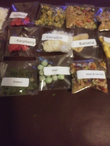 Land hermit crab food treat - hermit, food/treat's