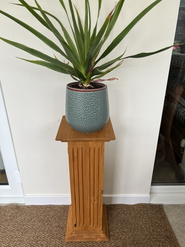 Pine storage tower - rack, /