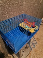 Syrian Hamster Cage With Many