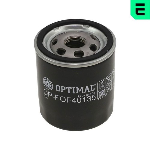 Oil filter fits austin - oil,
