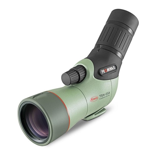 Kowa prominar 55mm angled - kowa,