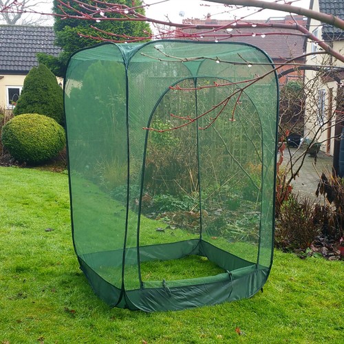 85m high popup net - high, veg