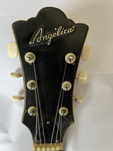 Angelica vintage acoustic - angelica,