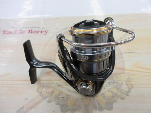 Daiwa levias airity - airity, fc