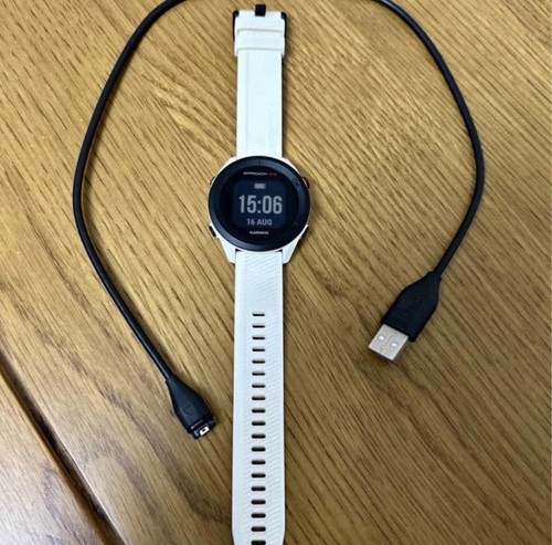 Garmin golf watch white - garmin,