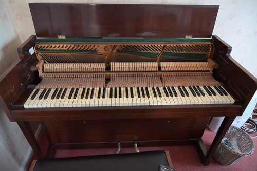 Kemble miniature minx walnut - kemble,