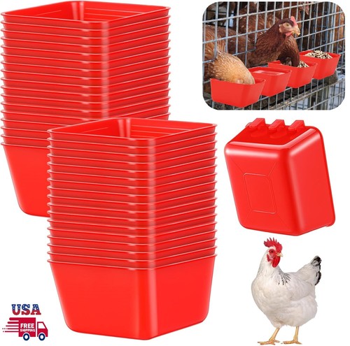 Red chicken poultry - red,